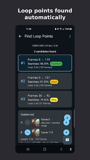 Three candidate loop points ready to preview, plus a custom cut option.